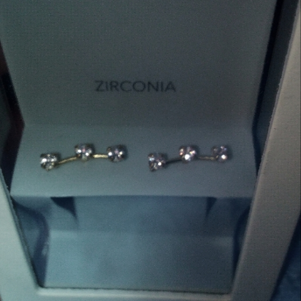 Earrings brand new with tags